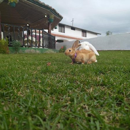 Quinta Winay Hotel Yaruqui Luaran gambar