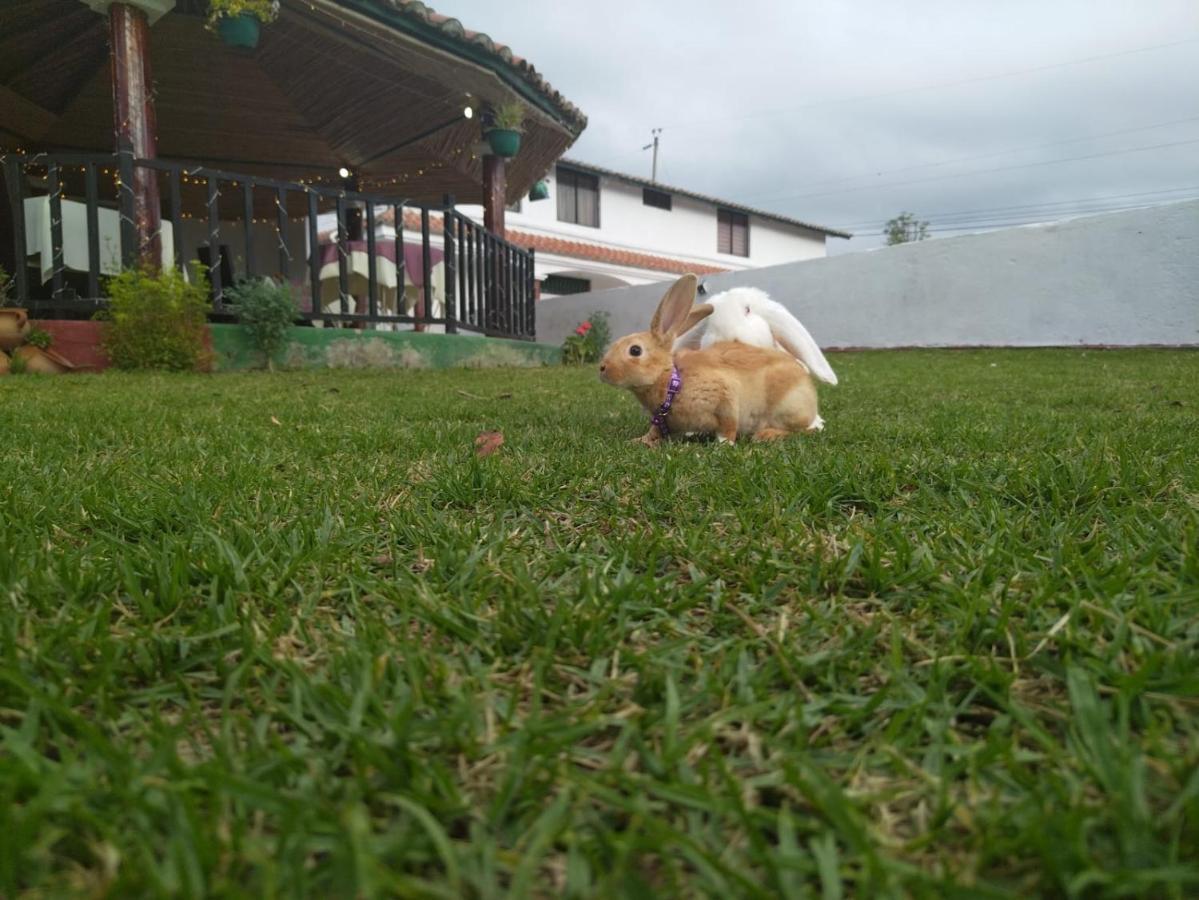Quinta Winay Hotel Yaruqui Luaran gambar